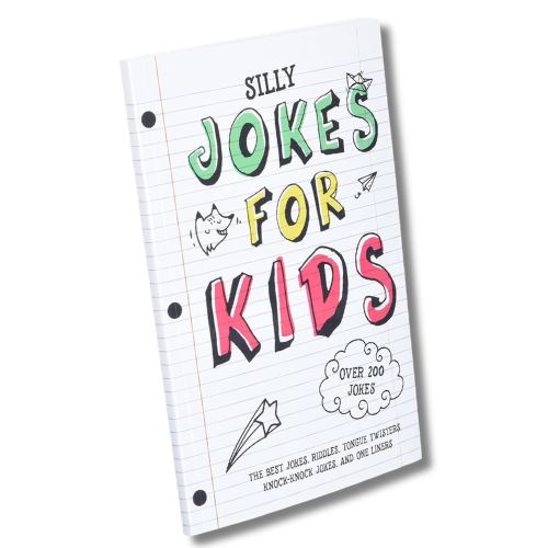 Camp Care Package for Boys Jokes Book